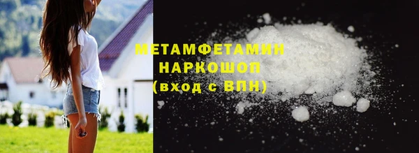 ГАЛЛЮЦИНОГЕННЫЕ ГРИБЫ Осинники