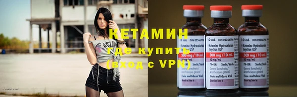 ГАЛЛЮЦИНОГЕННЫЕ ГРИБЫ Осинники
