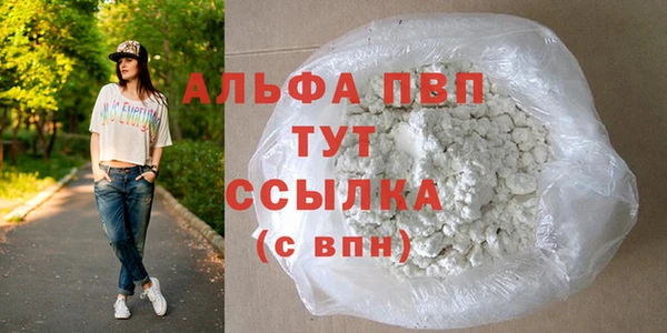 ГАЛЛЮЦИНОГЕННЫЕ ГРИБЫ Осинники