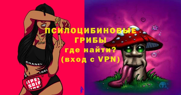 ГАЛЛЮЦИНОГЕННЫЕ ГРИБЫ Осинники