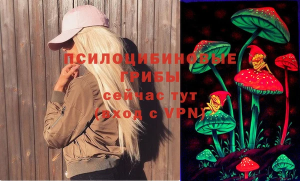сатива Нязепетровск